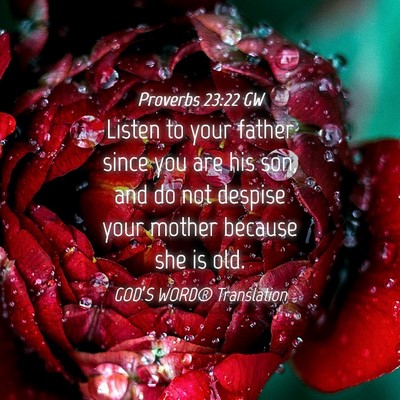 Picture 04 - Proverbs 23:22 GW - Listen to your father since you are his son, and - Bible Verse Picture