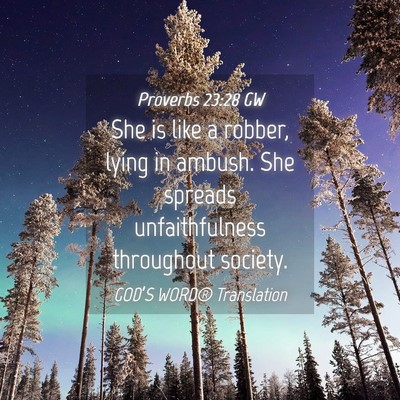 Picture 04 - Proverbs 23:28 GW - She is like a robber, lying in ambush. She - Bible Verse Picture