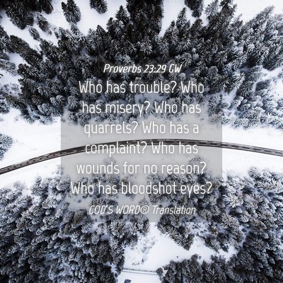 Picture 04 - Proverbs 23:29 GW - Who has trouble? Who has misery? Who has - Bible Verse Picture