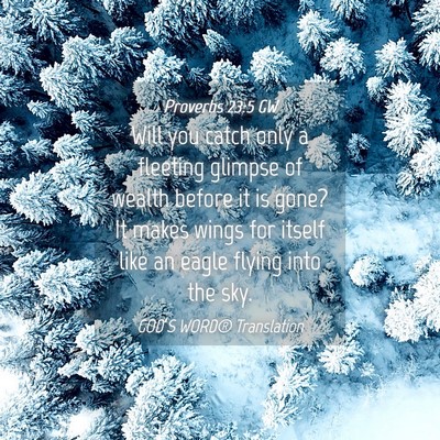 Picture 04 - Proverbs 23:5 GW - Will you catch only a fleeting glimpse of wealth - Bible Verse Picture