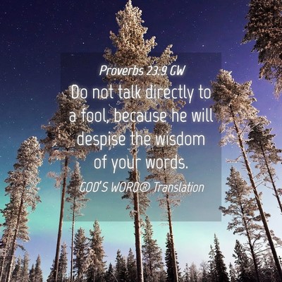 Picture 04 - Proverbs 23:9 GW - Do not talk directly to a fool, because he will - Bible Verse Picture