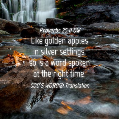 Picture 04 - Proverbs 25:11 GW - Like golden apples in silver settings, so is a - Bible Verse Picture