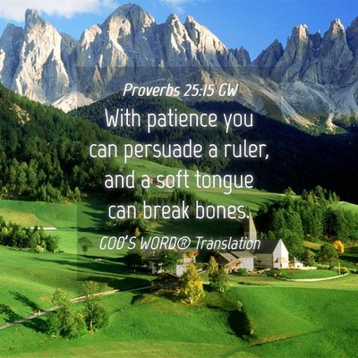 Picture 04 - Proverbs 25:15 GW - With patience you can persuade a ruler, and a - Bible Verse Picture