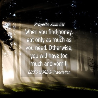Picture 04 - Proverbs 25:16 GW - When you find honey, eat only as much as you - Bible Verse Picture