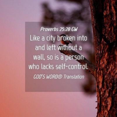 Picture 04 - Proverbs 25:28 GW - Like a city broken into and left without a wall, - Bible Verse Picture