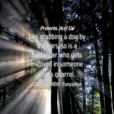 Picture 04 - Proverbs 26:17 GW - Like grabbing a dog by the ears, so is a - Bible Verse Picture