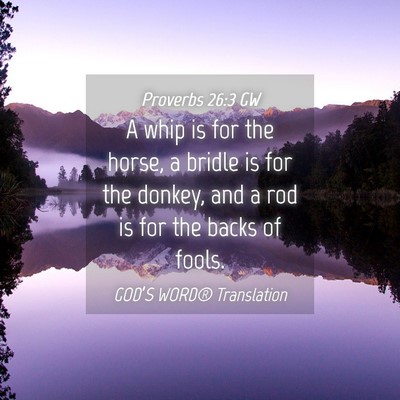 Picture 04 - Proverbs 26:3 GW - A whip is for the horse, a bridle is for the - Bible Verse Picture