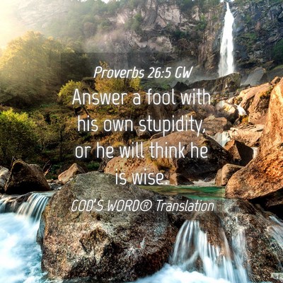Picture 04 - Proverbs 26:5 GW - Answer a fool with his own stupidity, or he will - Bible Verse Picture