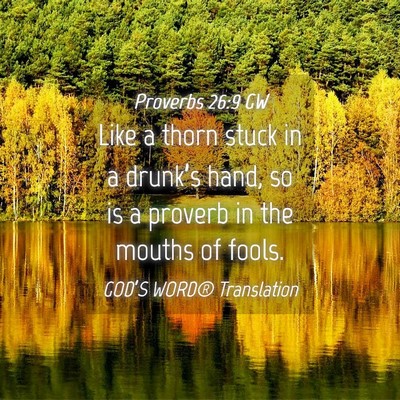Picture 04 - Proverbs 26:9 GW - Like a thorn stuck in a drunk’s hand, so is a - Bible Verse Picture