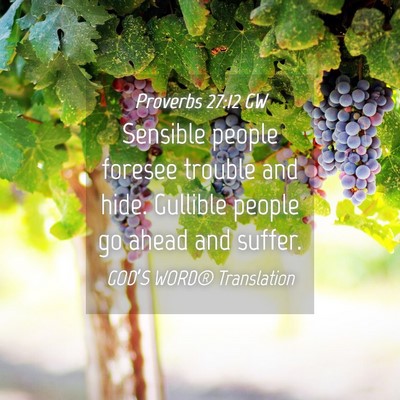 Picture 04 - Proverbs 27:12 GW - Sensible people foresee trouble and hide. - Bible Verse Picture
