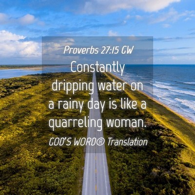 Picture 04 - Proverbs 27:15 GW - Constantly dripping water on a rainy day is like - Bible Verse Picture