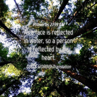 Picture 04 - Proverbs 27:19 GW - As a face is reflected in water, so a person is - Bible Verse Picture