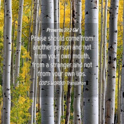 Picture 04 - Proverbs 27:2 GW - Praise should come from another person and not - Bible Verse Picture