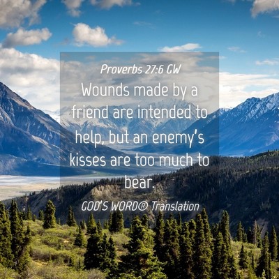 Picture 04 - Proverbs 27:6 GW - Wounds made by a friend are intended to help, but - Bible Verse Picture