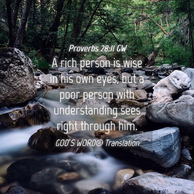 Picture 04 - Proverbs 28:11 GW - A rich person is wise in his own eyes, but a poor - Bible Verse Picture