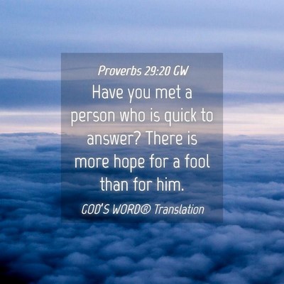 Picture 04 - Proverbs 29:20 GW - Have you met a person who is quick to answer? - Bible Verse Picture
