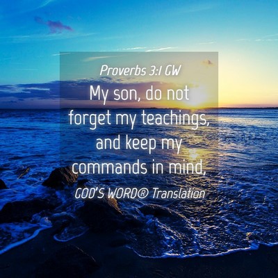 Picture 04 - Proverbs 3:1 GW - My son, do not forget my teachings, and keep my - Bible Verse Picture