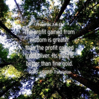 Picture 04 - Proverbs 3:14 GW - The profit gained from wisdom is greater than the - Bible Verse Picture