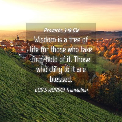 Picture 04 - Proverbs 3:18 GW - Wisdom is a tree of life for those who take firm - Bible Verse Picture