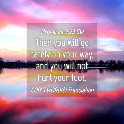 Picture 04 - Proverbs 3:23 GW - Then you will go safely on your way, and you will - Bible Verse Picture