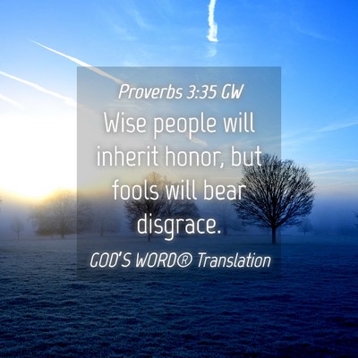 Picture 04 - Proverbs 3:35 GW - Wise people will inherit honor, but fools will - Bible Verse Picture