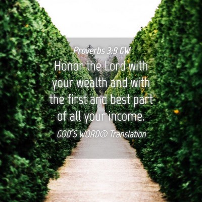 Picture 04 - Proverbs 3:9 GW - Honor the Lord with your wealth and with the - Bible Verse Picture
