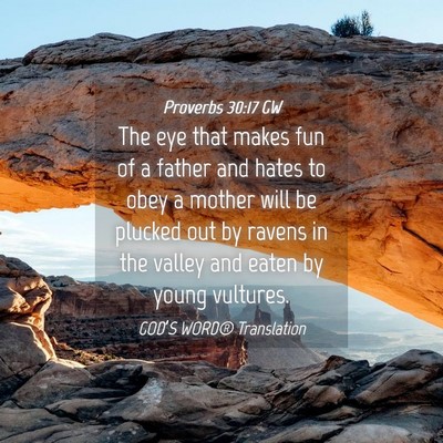 Picture 04 - Proverbs 30:17 GW - The eye that makes fun of a father and hates to - Bible Verse Picture