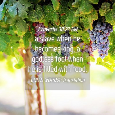 Picture 04 - Proverbs 30:22 GW - a slave when he becomes king, a godless fool when - Bible Verse Picture