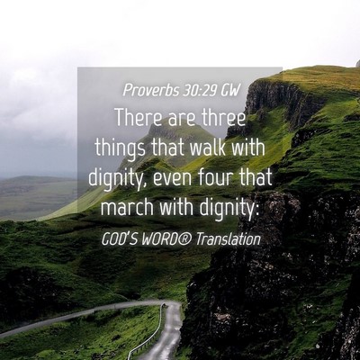 Picture 04 - Proverbs 30:29 GW - There are three things that walk with dignity, - Bible Verse Picture
