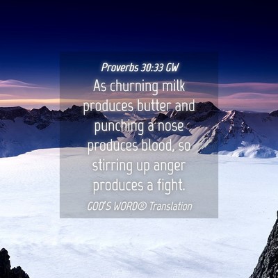 Picture 04 - Proverbs 30:33 GW - As churning milk produces butter and punching a - Bible Verse Picture