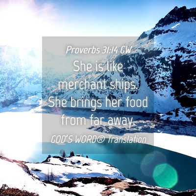 Picture 04 - Proverbs 31:14 GW - She is like merchant ships. She brings her food - Bible Verse Picture