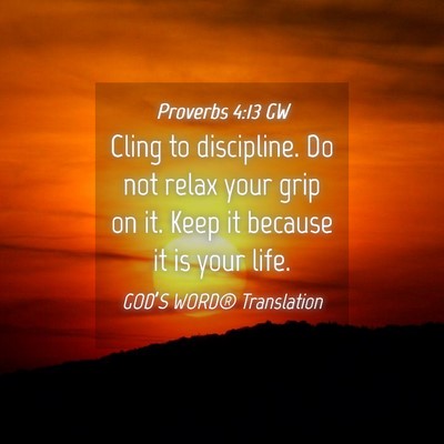 Picture 04 - Proverbs 4:13 GW - Cling to discipline. Do not relax your grip on - Bible Verse Picture