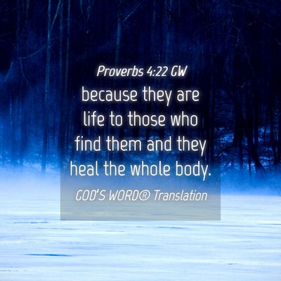 Picture 04 - Proverbs 4:22 GW - because they are life to those who find them and - Bible Verse Picture