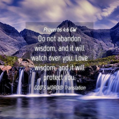 Picture 04 - Proverbs 4:6 GW - Do not abandon wisdom, and it will watch over - Bible Verse Picture
