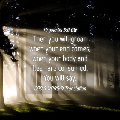 Picture 04 - Proverbs 5:11 GW - Then you will groan when your end comes, when - Bible Verse Picture