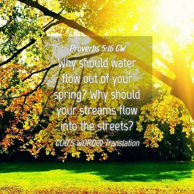 Picture 04 - Proverbs 5:16 GW - Why should water flow out of your spring? Why - Bible Verse Picture