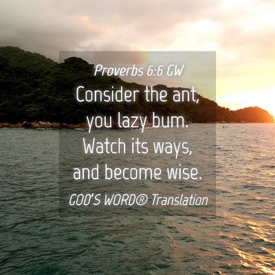 Picture 04 - Proverbs 6:6 GW - Consider the ant, you lazy bum. Watch its ways, - Bible Verse Picture