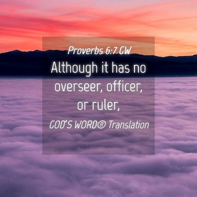 Picture 04 - Proverbs 6:7 GW - Although it has no overseer, officer, or - Bible Verse Picture