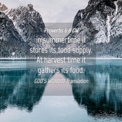 Picture 04 - Proverbs 6:8 GW - in summertime it stores its food supply. At - Bible Verse Picture