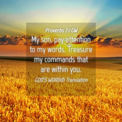 Picture 04 - Proverbs 7:1 GW - My son, pay attention to my words. Treasure my - Bible Verse Picture