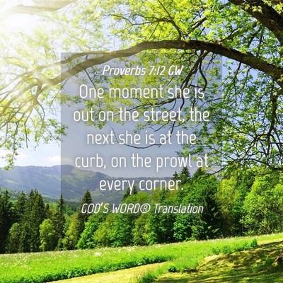 Picture 04 - Proverbs 7:12 GW - One moment she is out on the street, the next she - Bible Verse Picture