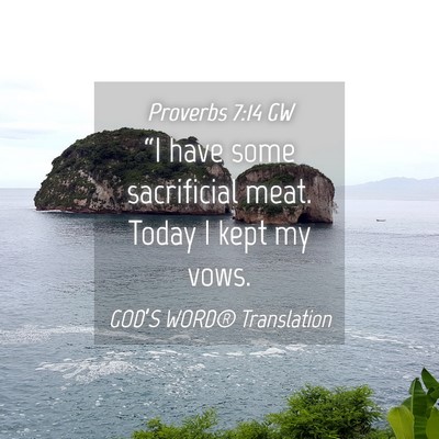 Picture 04 - Proverbs 7:14 GW - “I have some sacrificial meat. Today I kept my - Bible Verse Picture
