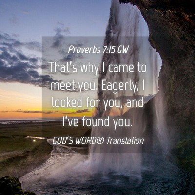 Picture 04 - Proverbs 7:15 GW - That’s why I came to meet you. Eagerly, I - Bible Verse Picture