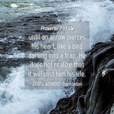 Picture 04 - Proverbs 7:23 GW - until an arrow pierces his heart, like a bird - Bible Verse Picture