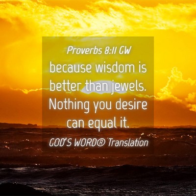 Picture 04 - Proverbs 8:11 GW - because wisdom is better than jewels. Nothing you - Bible Verse Picture
