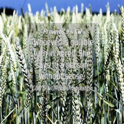 Picture 04 - Proverbs 9:4 GW - “Whoever is gullible turn in here!” She says - Bible Verse Picture