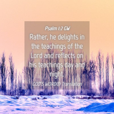 Picture 04 - Psalm 1:2 GW - Rather, he delights in the teachings of the Lord - Bible Verse Picture