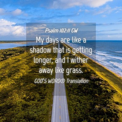 Picture 04 - Psalm 102:11 GW - My days are like a shadow that is getting longer, - Bible Verse Picture