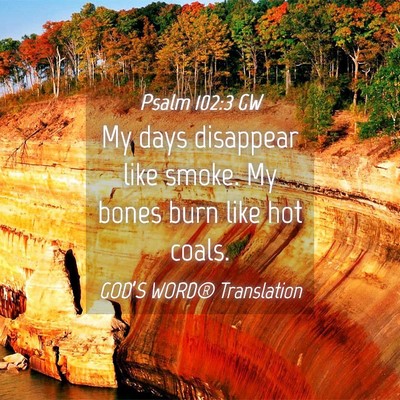 Picture 04 - Psalm 102:3 GW - My days disappear like smoke. My bones burn like - Bible Verse Picture
