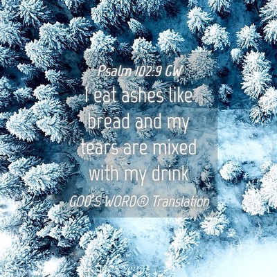 Picture 04 - Psalm 102:9 GW - I eat ashes like bread and my tears are mixed - Bible Verse Picture